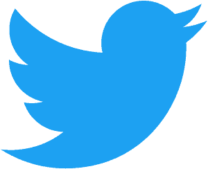 Twitter Bird Logo 2012.Svg